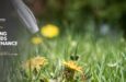 Ongoing Grounds Maintenance Notice