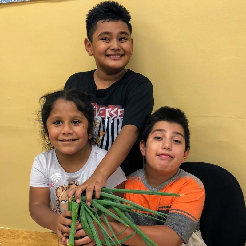 5th Graders Taste the Fruits of the Beaupre Garden