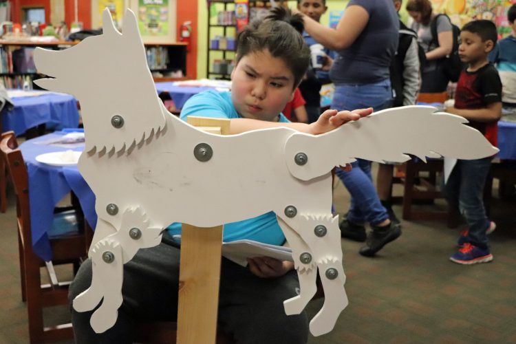 Wolf Club student demonstrating a wolf model.